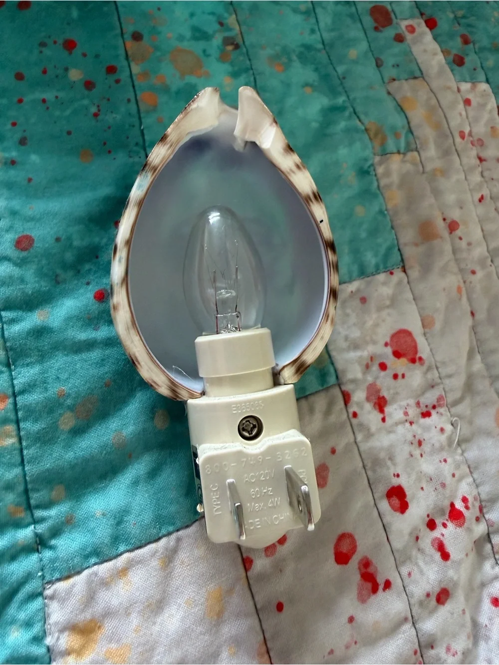 Hand-Painted Green Crab Shell Night Light